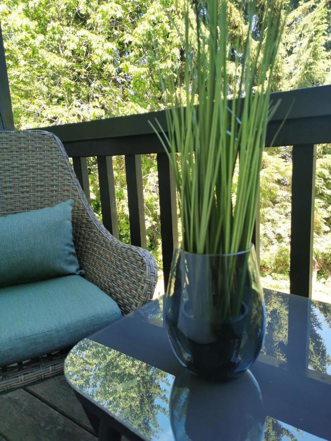Country-Suites By Verdino Living - Apartments & Suites (Adults Only) Braunlage Extérieur photo